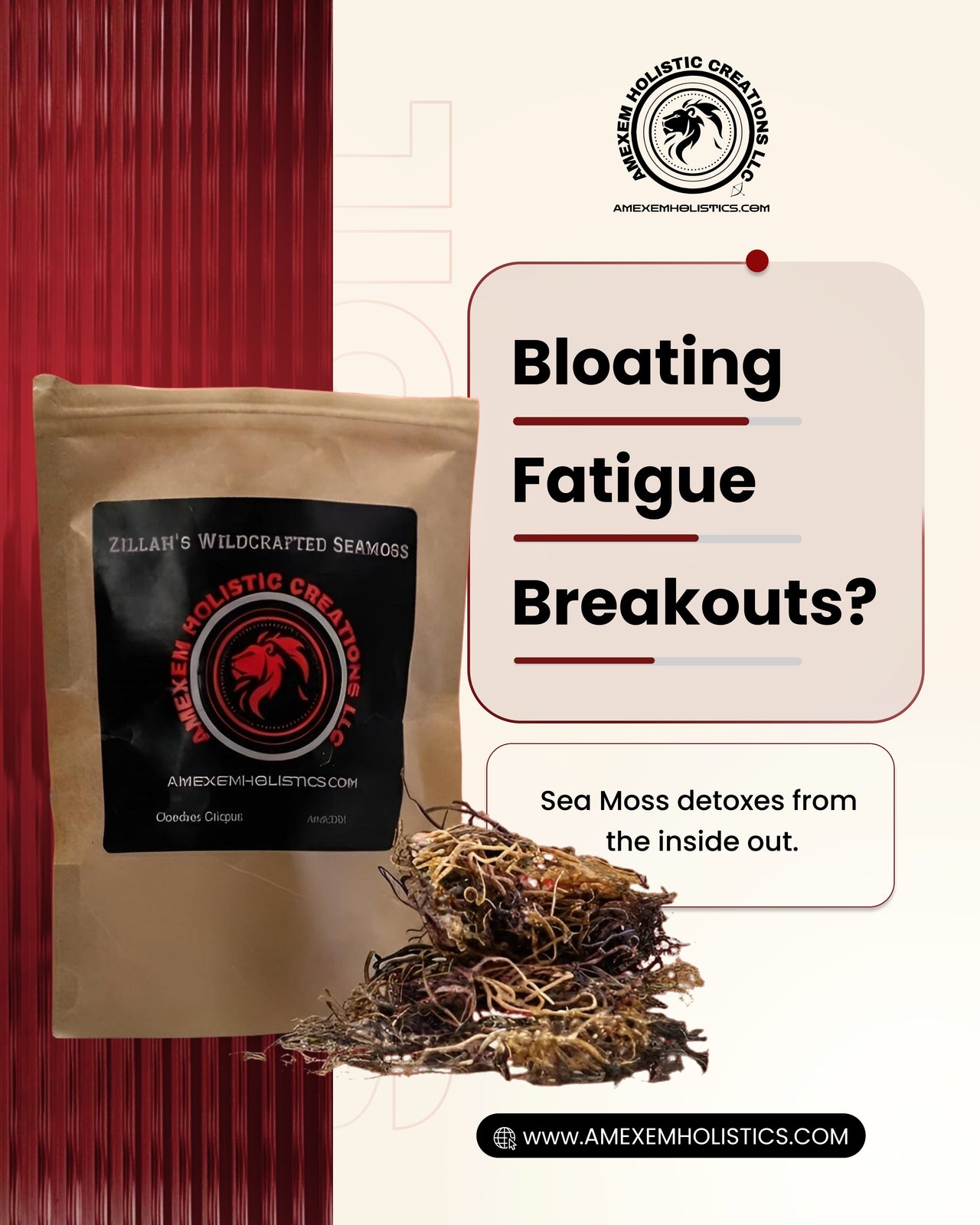 Zillah’s Wildcrafted Honduras Seamoss (Raw / Dried) – 2oz / 4oz