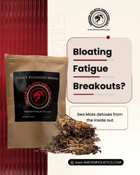 Thumbnail for Zillah’s Wildcrafted Honduras Seamoss (Raw / Dried) – 2oz / 4oz