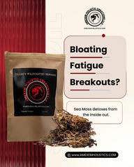 Zillah’s Wildcrafted Honduras Seamoss (Raw / Dried) – 2oz / 4oz