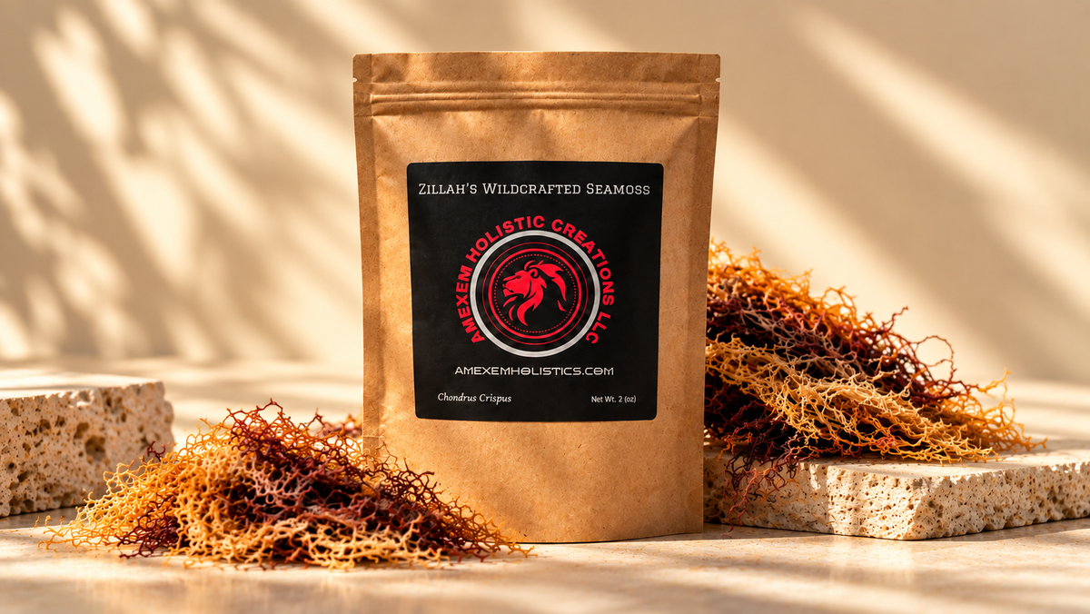 Zillah’s Wildcrafted Honduras Seamoss (Raw / Dried) – 4oz